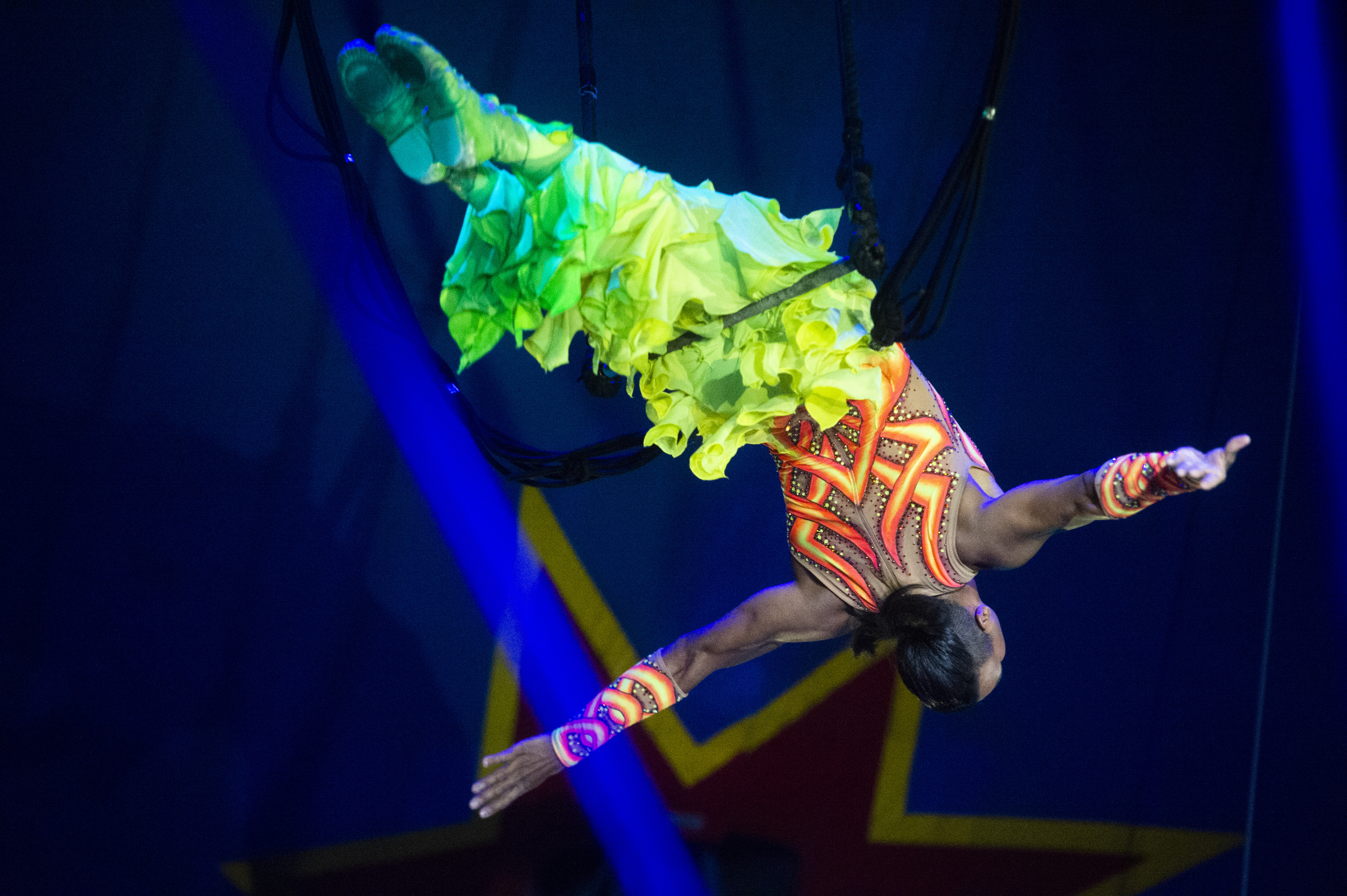 David Hammarberg - 220705