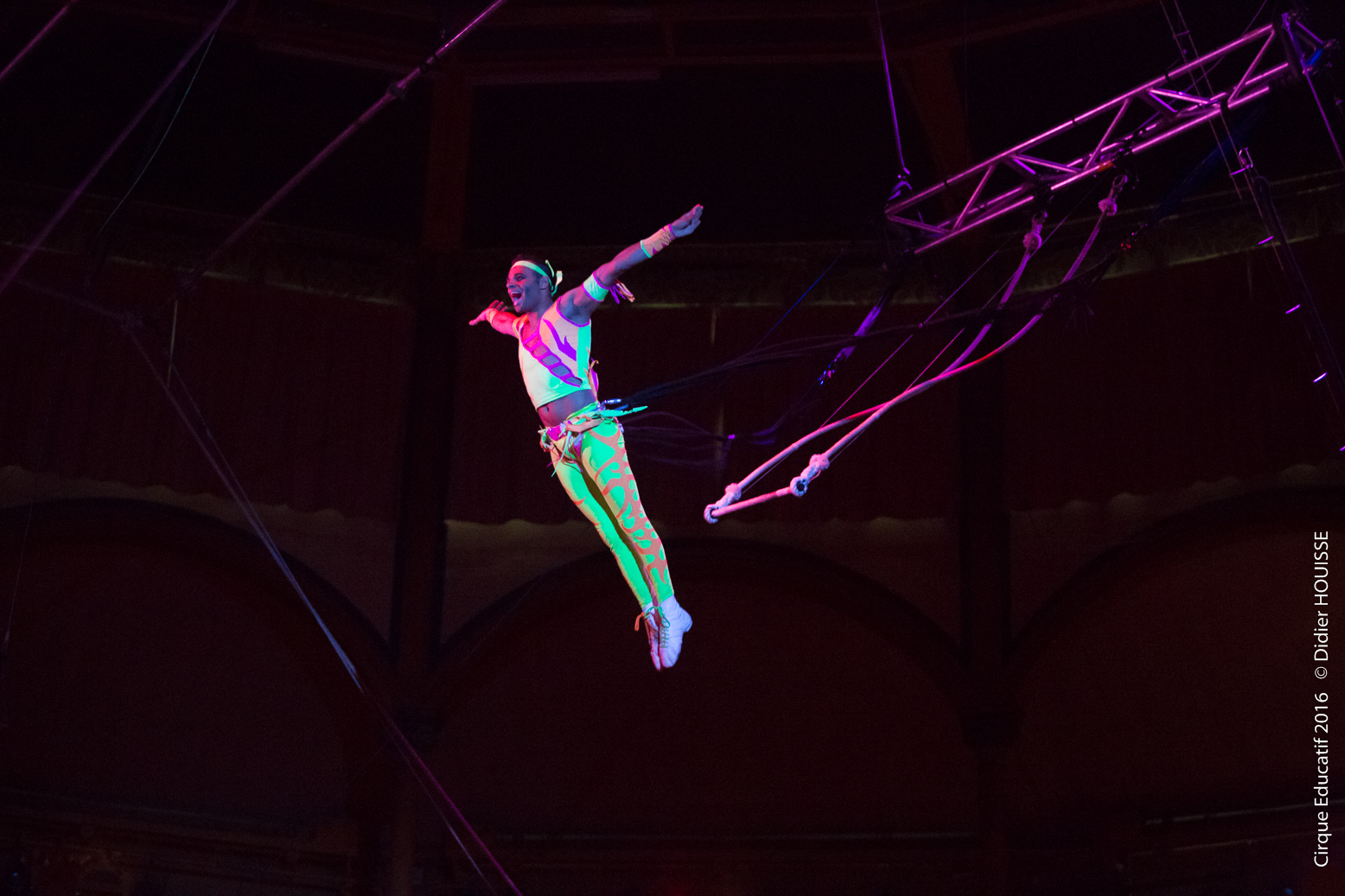 David Hammarberg - 16