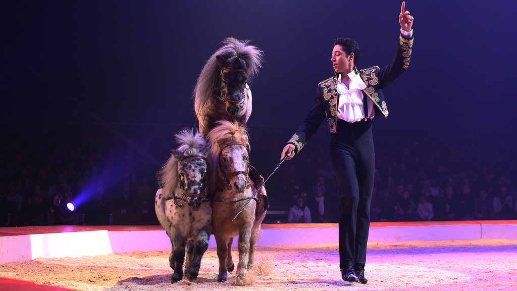 Festival International du Cirque 2017 - Numéro René Casselly Jr