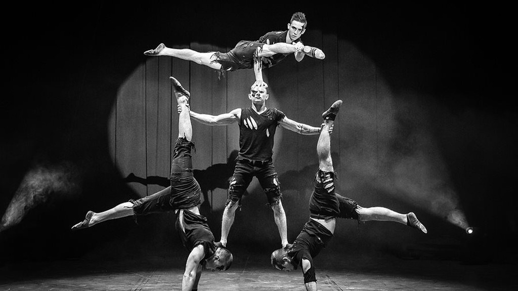 Wild - Acrobatie au tapis (2018)