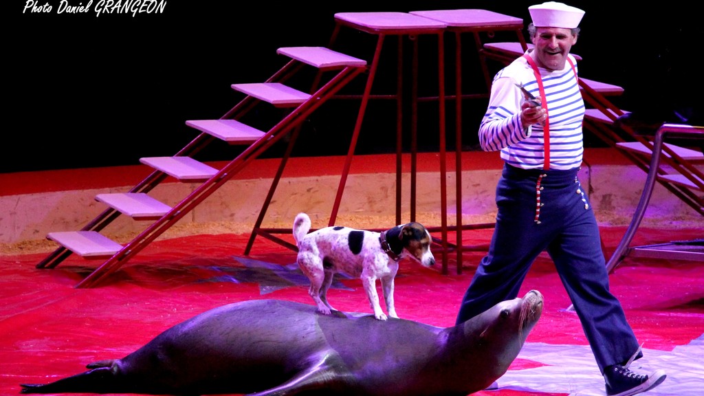 Festival International du Cirque 2016 - Numéro Petra et Roland Duss - otaries et chien