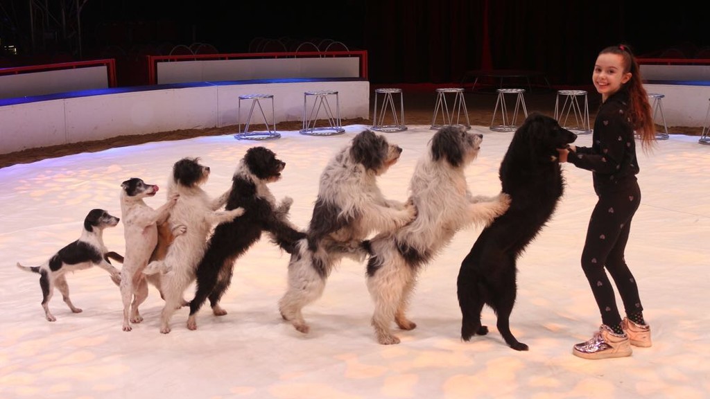 Wolfgang Lauenburger