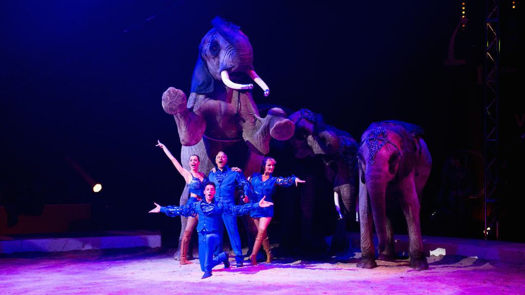 Festival International du Cirque 2015 - Etoile d'or numéro Famille Casselly