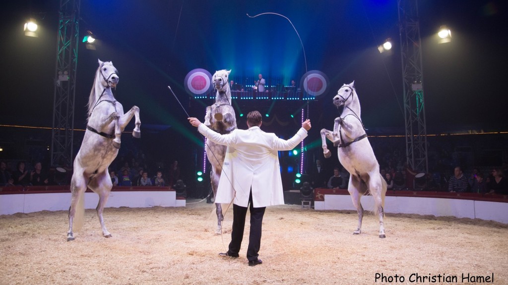 Festival International du Cirque 2018 - Numéro chevaux Marlon Zinnecker