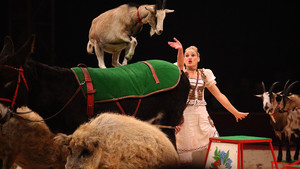 Festival International du Cirque 2016 - Numéro Maike et Jorg - Animaux à la ferme