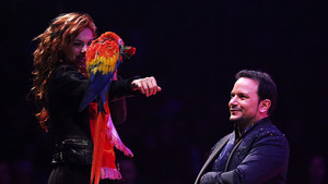 Alessio - perroquets - 2016