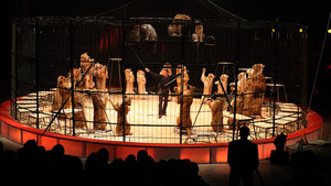 Festival International du Cirque 2016 - Numéro Martin Lacey - 28 tigres