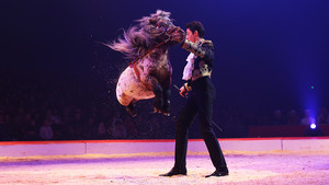 Festival International du Cirque 2017 - Numéro René Casselly Jr - Poneys