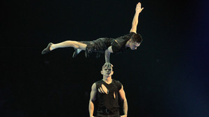 Wild - Acrobates - 2018