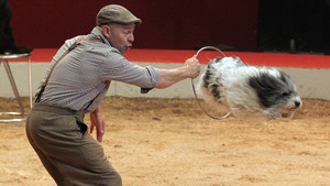 Wolfgang Lauenburger - chiens - 2018