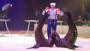 Festival International du Cirque 2016 - Numéro Duss photo Christian Hamel