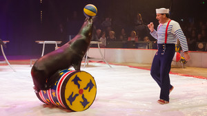 Festival International du Cirque 2016 - Numéro Duss photo Christian Hamel