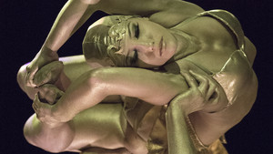 Acrodreams - Festival International du Cirque 2019