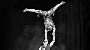 Wild - Acrobatie au tapis (2018)