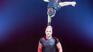 DIMA & DIMA - main à main - 2018