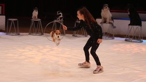 Wolfgang Lauenburger