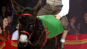 Festival International du Cirque 2016 - Numéro Probst & cheveaux