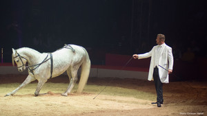 Marlon Zinnecker - chevaux - 2018