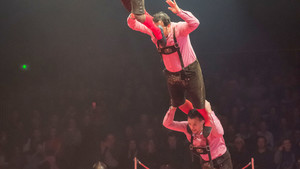 HELMUT BROTHERS - cascadeur - 2018