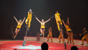 MACAGGI Valla Bertini - Monocycles - 2018