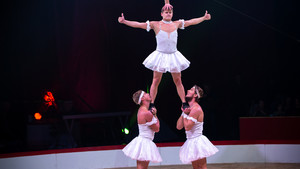 Festival International du Cirque 2015 - Numéro Golden Stars - Etoile de bronze