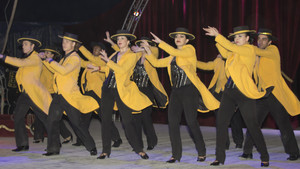 MACAGGI Valla Bertini - Monocycles - 2018