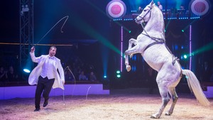 Festival International du Cirque 2018 - Numéro Marlon Zinnecker