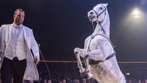 Festival International du Cirque 2018 - Numéro de cirque avec chevaux et Marlon Zinnecker