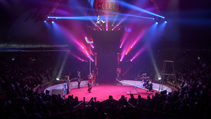 Troupe Zola - 51936099094